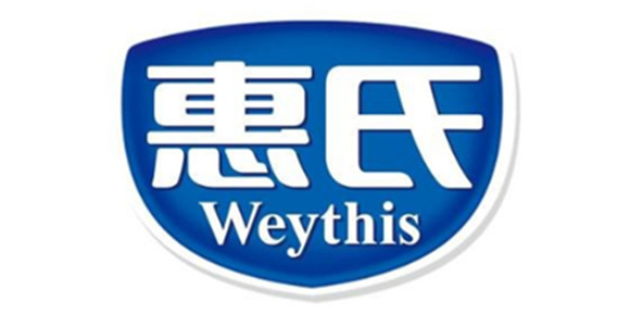 <b>案例 - 惠氏</b>