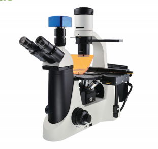 DSY2000X倒置荧光显微镜